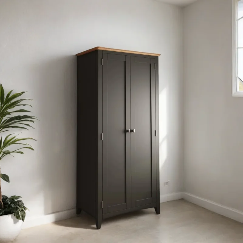 Albright 2 Door Full Hanging Wardrobe
