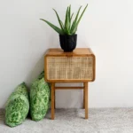 living room end table, end table with storage