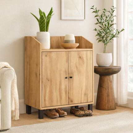 Larkstride 2 Door Shoe Cabinet